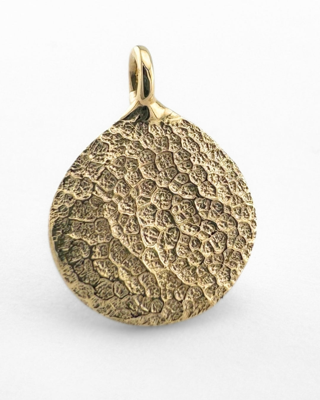 Close up of gold pendant with dog's nose print impression on light grey background
