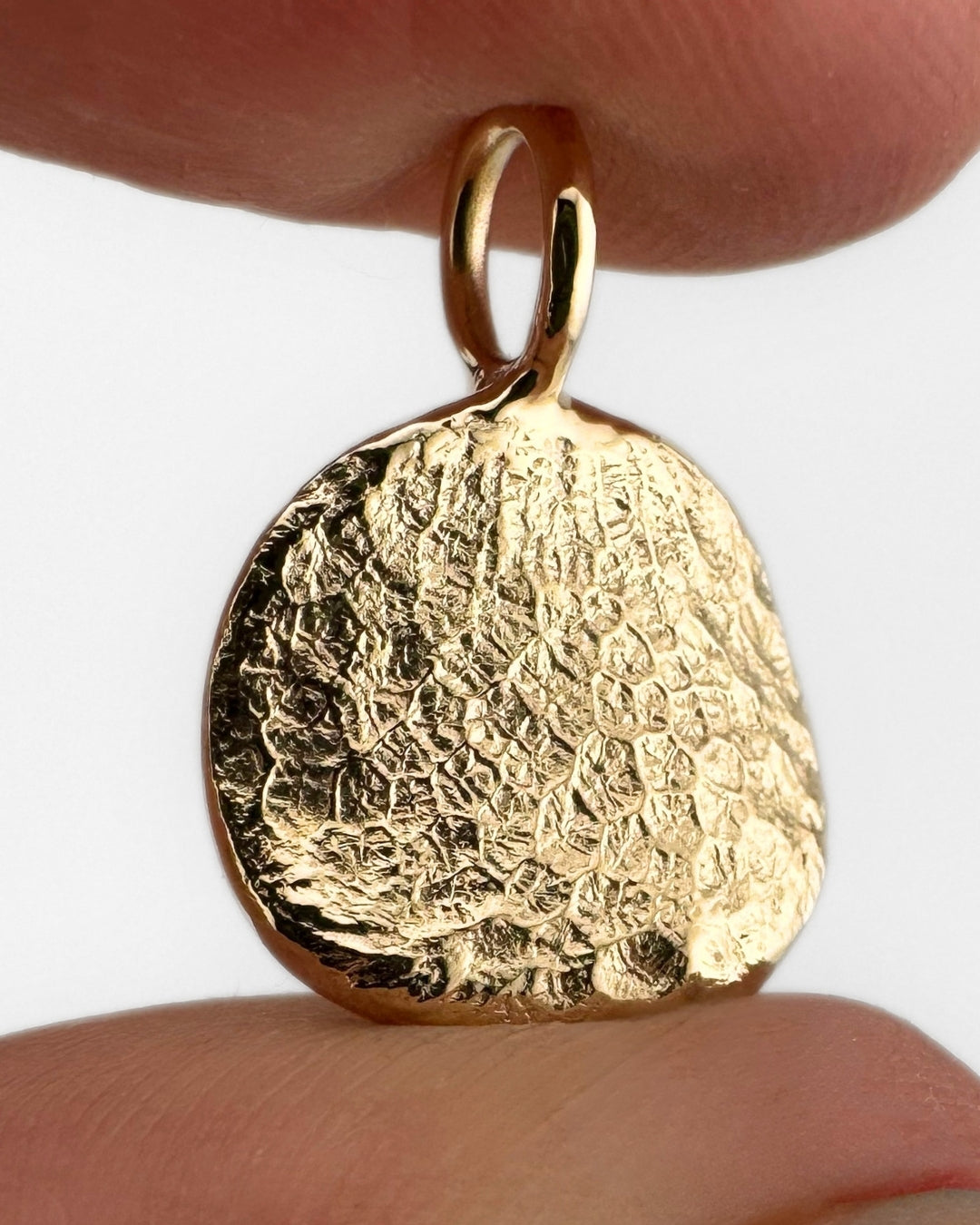 Close up of gold pendant with dog's nose print impressions on light grey background