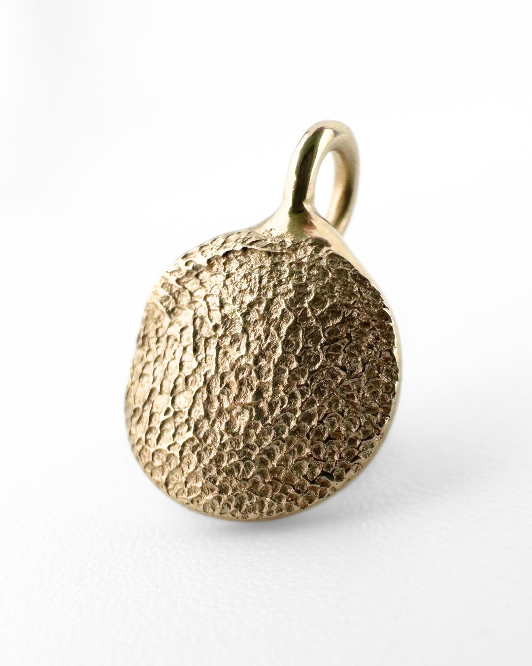 Circular gold pendant with dog's paw print impression on light grey background