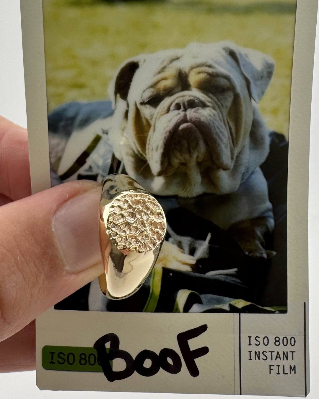 Polaroid photo of a dog next to a small gold signet ring with dog's nose print impression