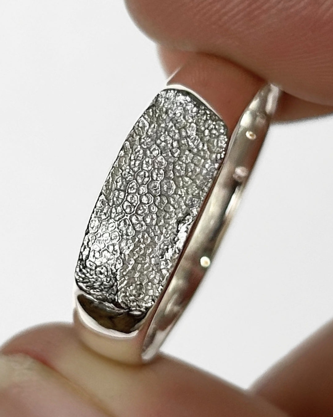 Close-up of silver ring band with a dog's nose print impression on light grey background
