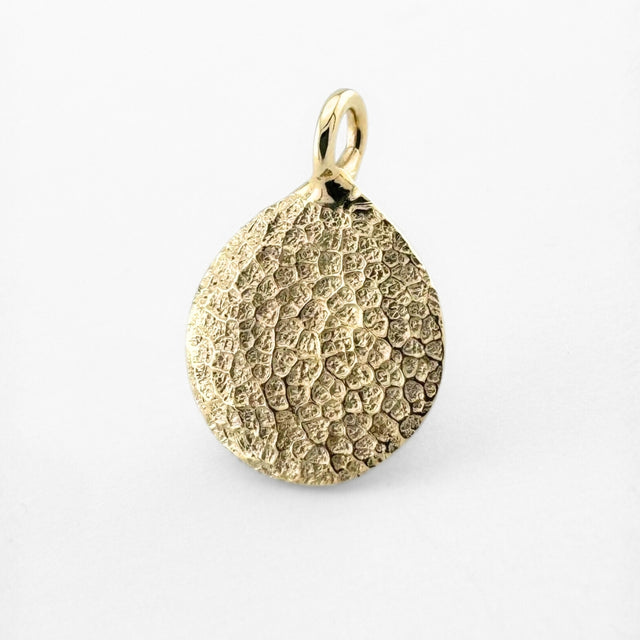 Close up of gold dogs nose print pendant on light grey background