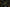 Dark image of plants